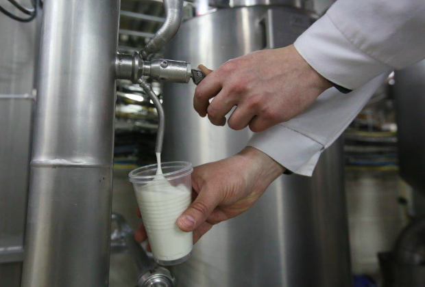 Молочные продукты и их польза для организма